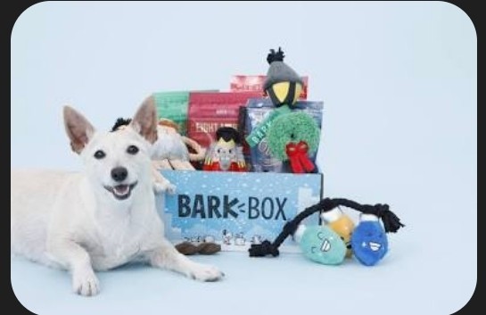 BARK BOX DOG TOYS XS – SMALL PICK A TOY SPACE JAM JURASSIC WORLD