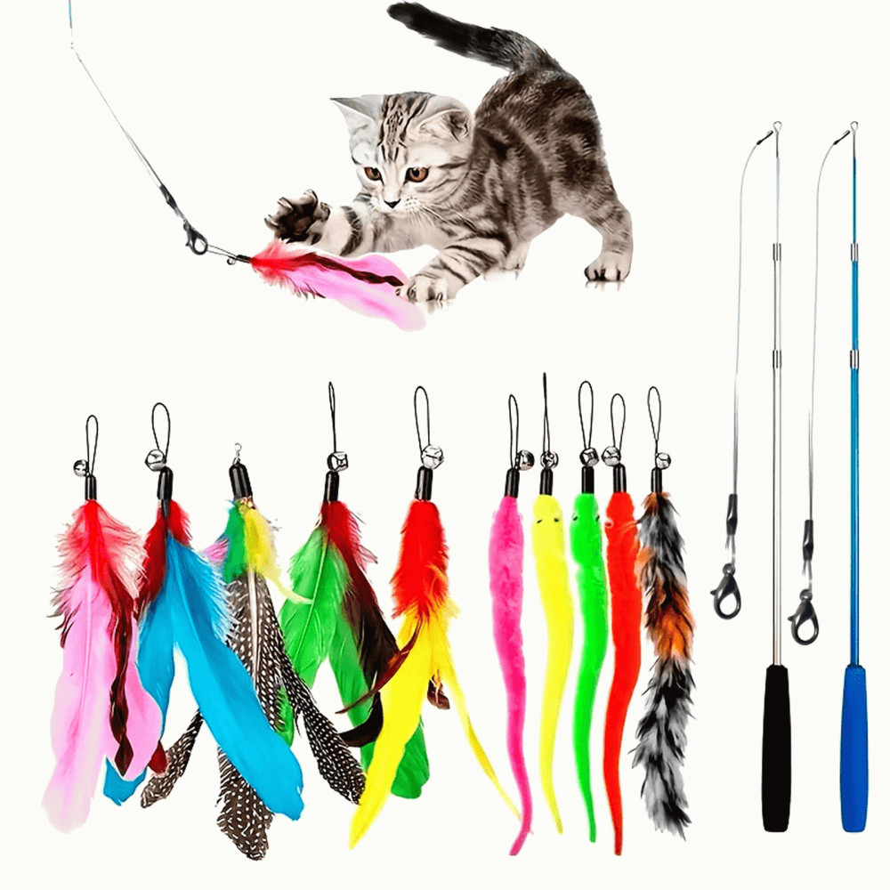 12PCS Kitten Cat Toy Feather Bell 2 Wand 10 Teaser Rod Interactive Play Pet Toys