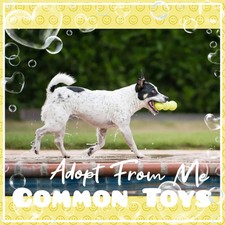 🌺 AĐ0PT (All Stuff FRM M3) Today! 🌺 Cheap 💰 🌟Common🌟 Old Toys 🎠🎈