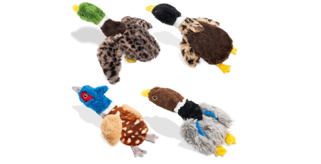 Dog Squeaky Toy Set – 4-Pack Durable Plush Duck, Pheasant, Goose for Small and M