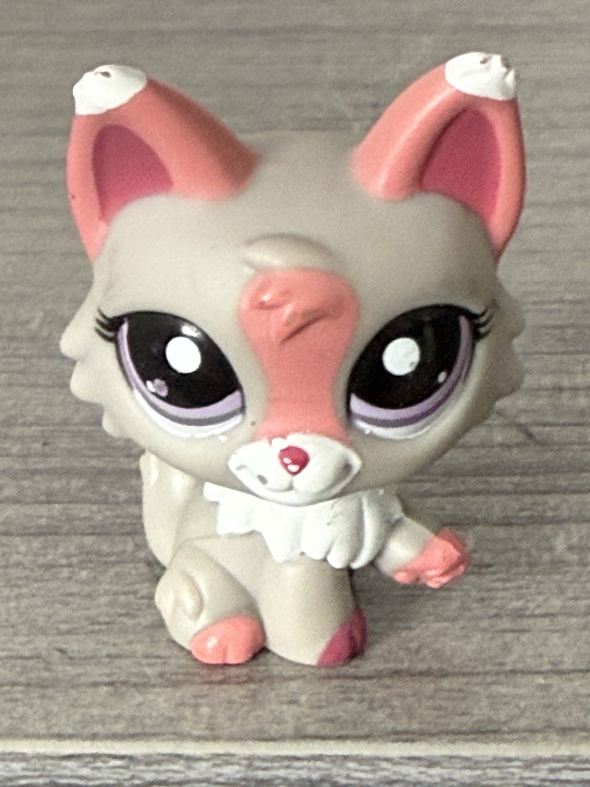 LPS #1921 LITTLEST PETSHOP ORIGINAL Grey/Pink Persian Wolf CAT HASBRO 2009 Rare